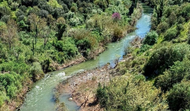 Από τον Αλφειό στη Νέδα…
