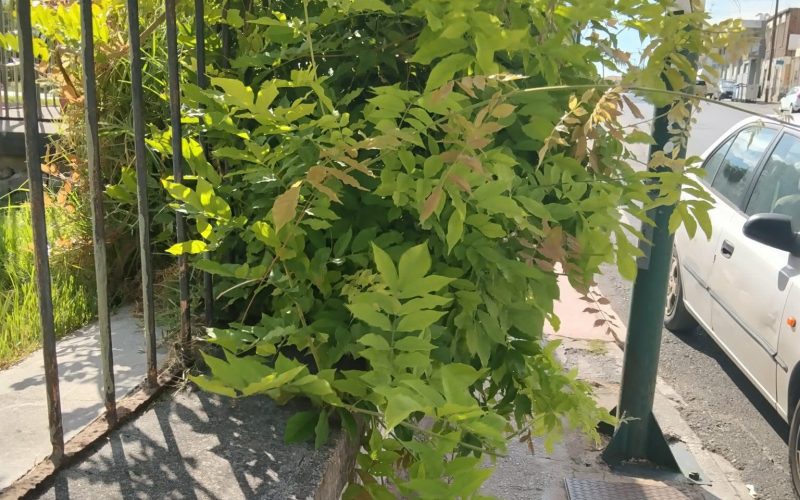 Χρειάζεται καθαρισμός…