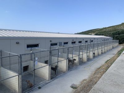 Γ. Αθανασόπουλος: Έτοιμο μέχρι το τέλος του χρόνου  το κυνοκομείο Καλαμάτας – Μεσσήνης