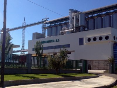 Οικοενέργεια Α.Ε.: Ποιοτικό κοκούτσι πυρηνόξυλου και πυρηνόξυλο