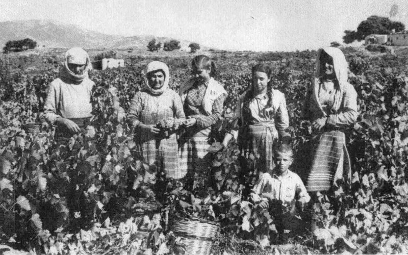 «Τα τραγούδια του Τρύγου» στο Κτήμα «Το Γιορτάσι»