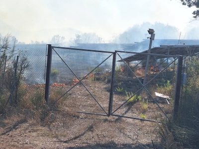 Μεγάλη φωτιά μεταξύ Αυλώνας – Πλατανίων