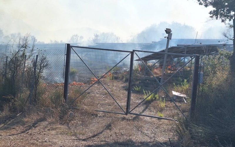 Μεγάλη φωτιά μεταξύ Αυλώνας – Πλατανίων