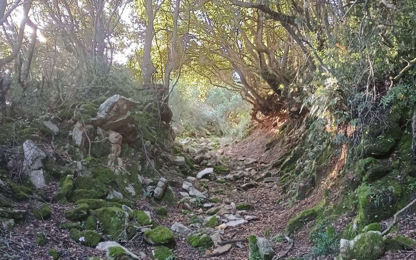 Ραπτόπουλο: Πεζοπορία στην Παλαιά Βρύση και επιστροφή την Κυριακή