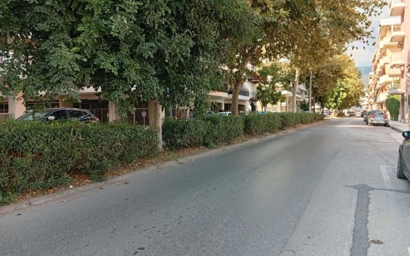 Ξηλώνουν τη βλάστηση