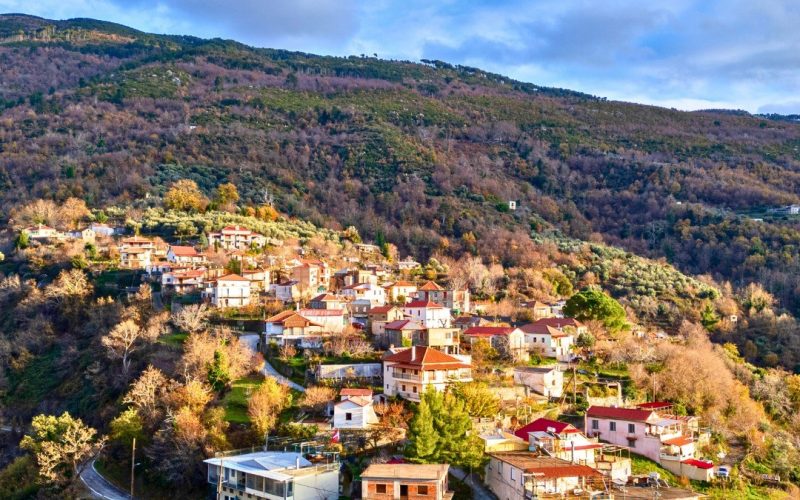 Μουσεία σε Νέδουσα, Αλαγονία, Λαδά από την ΟΧΕ Ταϋγέτου
