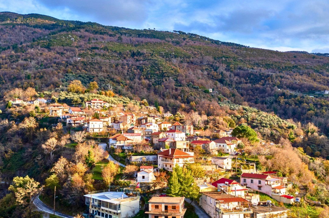Μουσεία σε Νέδουσα, Αλαγονία, Λαδά από την ΟΧΕ Ταϋγέτου